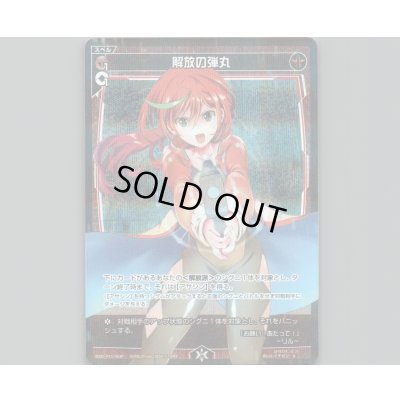 画像1: 解放の弾丸(パラ)