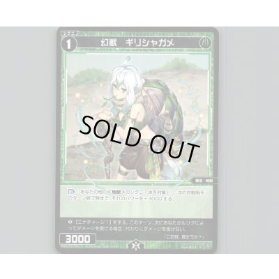 画像1: 幻獣 ギリシャガメ