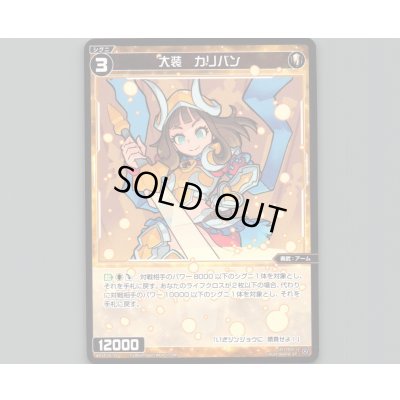 画像1: 大装 カリバン