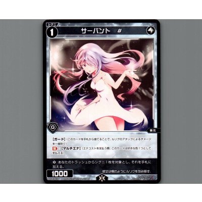 画像1: サーバント #