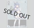 明日へ飛翔 レイ(パラ)