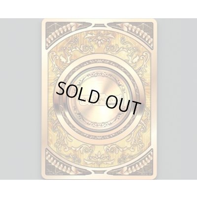 画像1: コインカード白