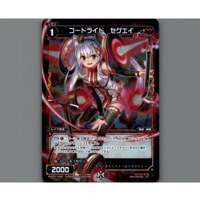 画像1: コードライド セグエイ(パラ)