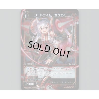 画像1: コードライド セグエイ(パラ)