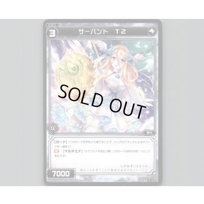 画像1: サーバント T2