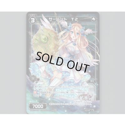 画像1: サーバント T2(パラ)