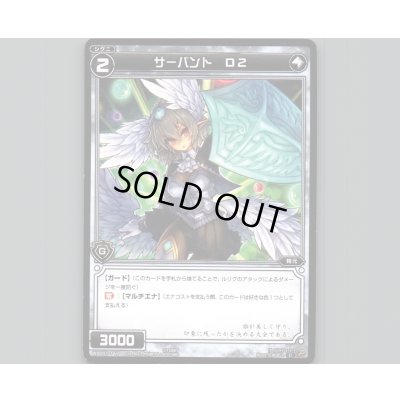 画像1: サーバント D2