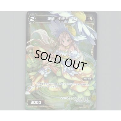 画像1: 羅植 カモミール(パラ)