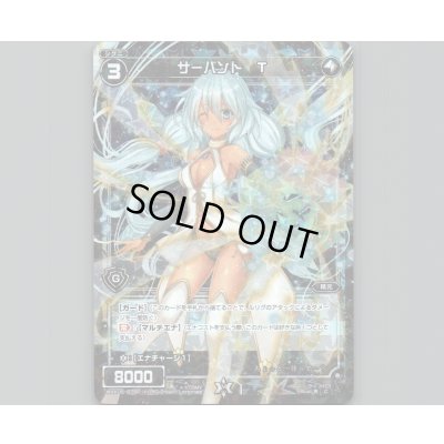 画像1: サーバント T(パラ)