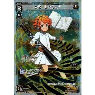 画像1: エマ レベル3’’(パラ)