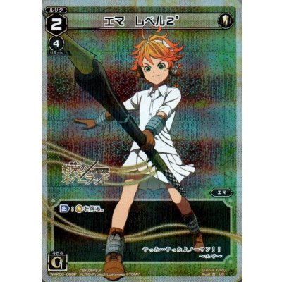 画像1: エマ レベル2’(パラ)