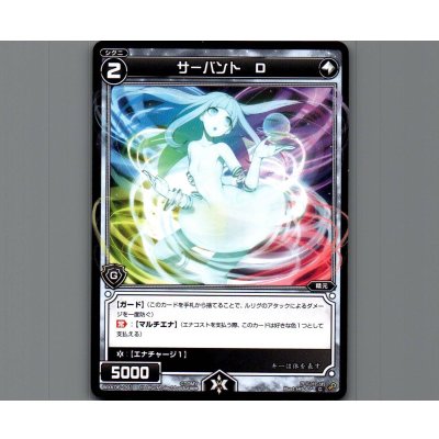 画像1: サーバント D