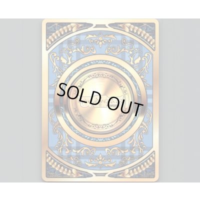 画像1: コインカード青