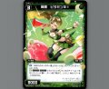 羅菌 ビタミンB1