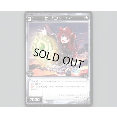 画像1: サーバント T2