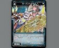 サーバント Q2(パラ)