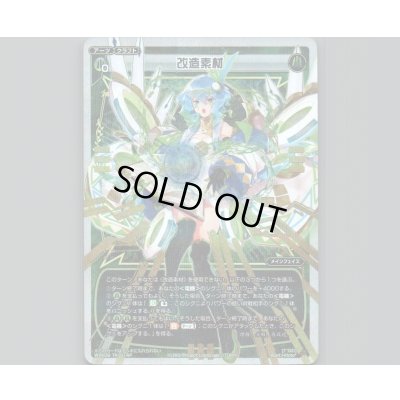 画像1: 【トークン】改造素材(パラ)