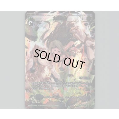 画像1: 大器晩熟(LRP)