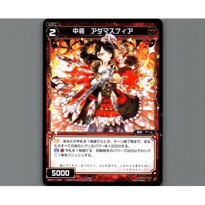 画像1: 中装 アダマスフィア