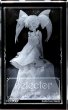 画像5: 【LEXACT】セレクター タマ プレミアムクリスタル（シリアルナンバー入り） (5)