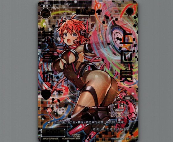 画像1: 【中国版】サーバント D4 (1)