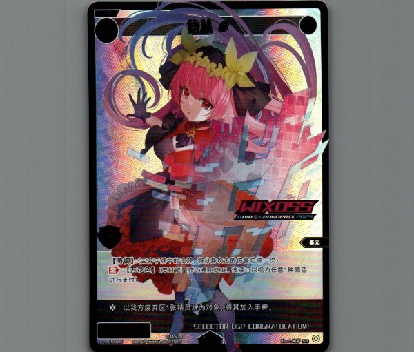 画像1: 【中国版】サーバント # (1)