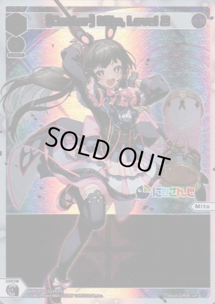 画像1: [Center] Mito, Level 2 (LR) (1)