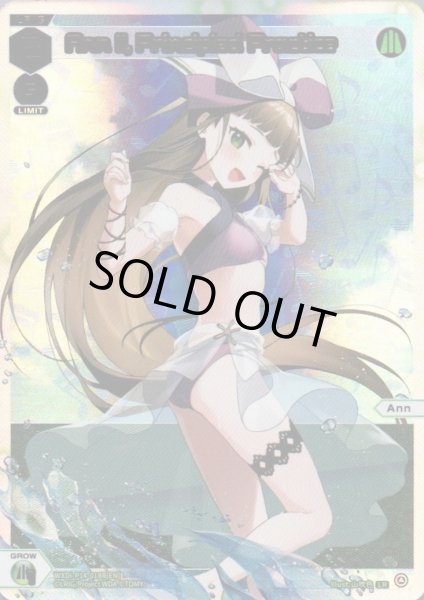 画像1: Ann II, Principled Practice (LR) (1)