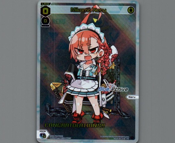 画像1: Mikamo Neru (November&December 2024) (Winner) (1)