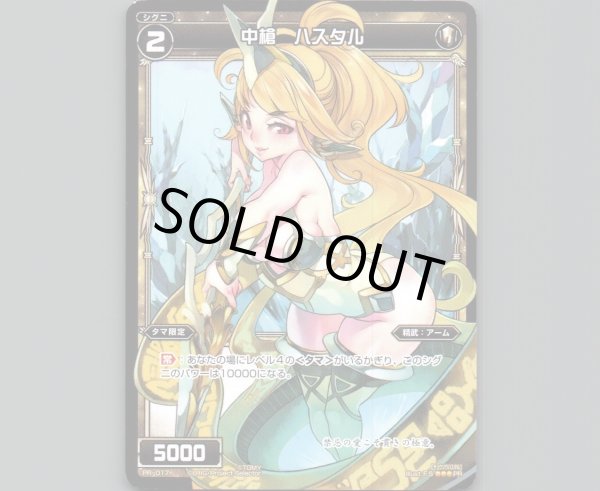 画像1: 中槍 ハスタル (1)