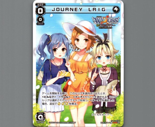 画像1: JOURNEY LRIG (1)