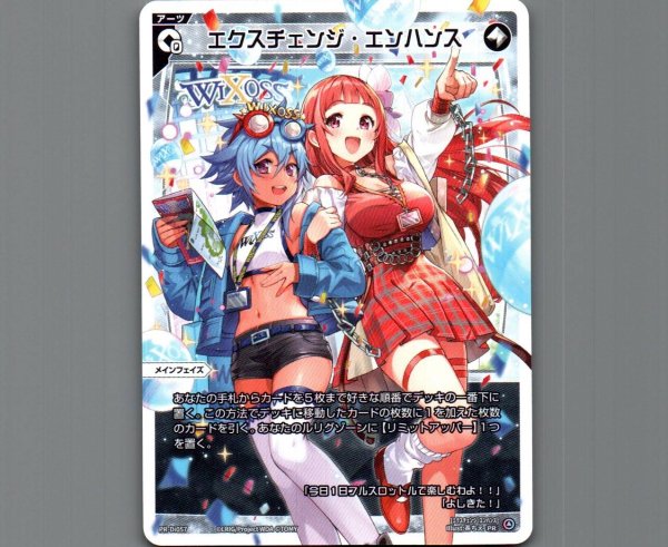 画像1: エクスチェンジ・エンハンス (1)