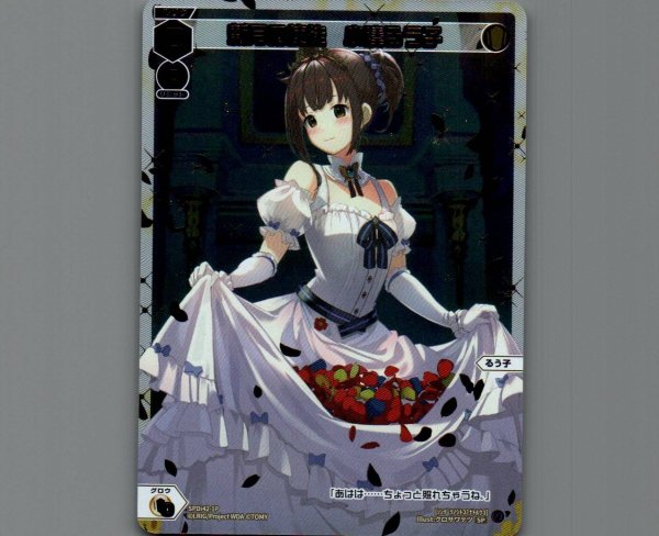 画像1: 新月の使徒　小湊るう子(パラ) (1)