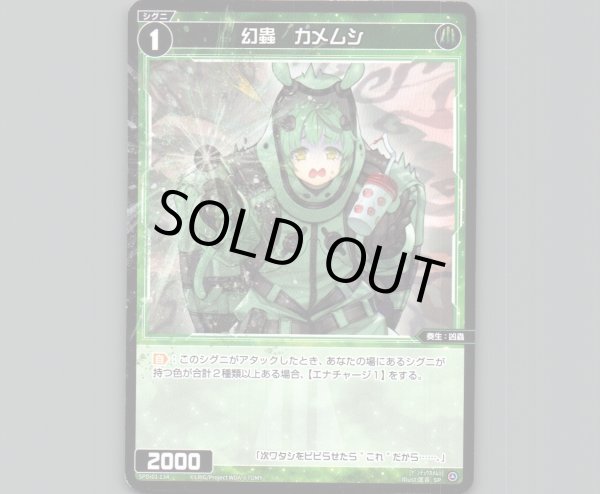 画像1: 幻蟲　カメムシ (1)