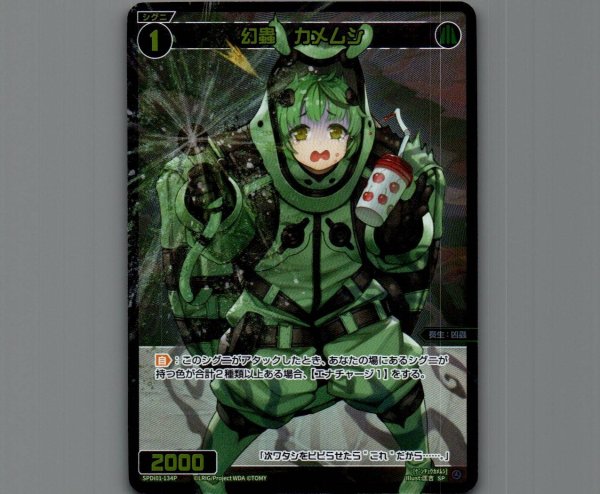 画像1: 幻蟲　カメムシ(パラ) (1)
