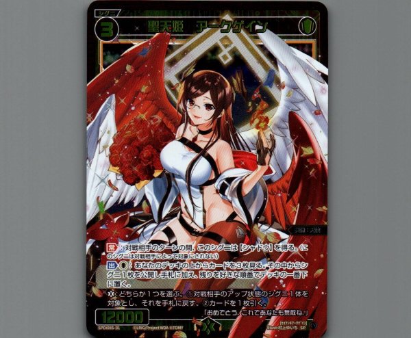 画像1: 聖天姫 アークゲイン (1)