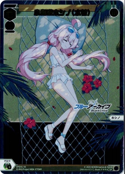 画像1: 小鳥遊ホシノ(水着) (1)