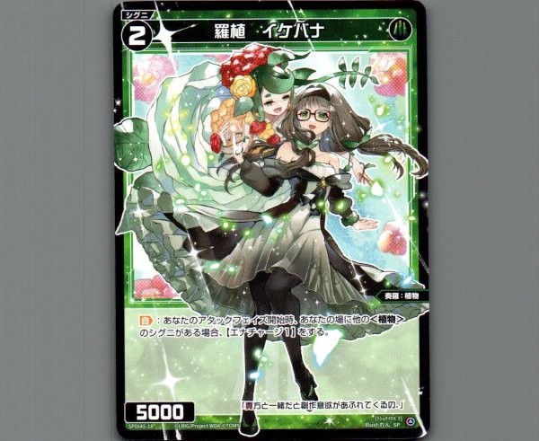 画像1: 羅植　イケバナ (1)
