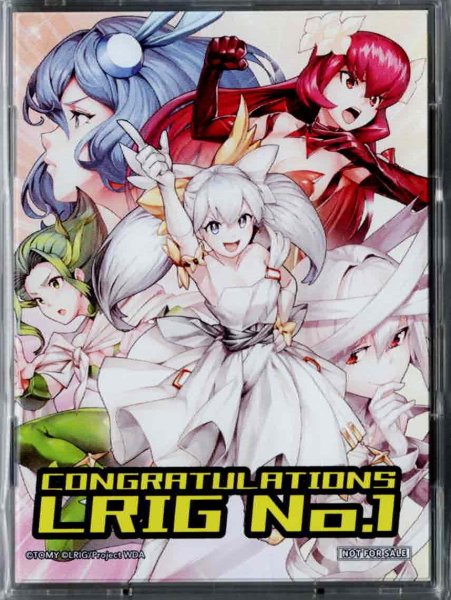 画像1: 「ドロー・エンハンス」特製プロテクト ディーヴァグランプリルリグNo.1賞 (1)