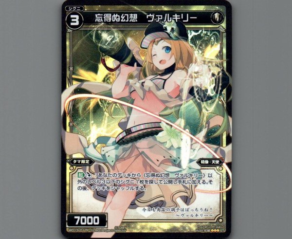 画像1: 忘得ぬ幻想 ヴァルキリー(パラ) (1)
