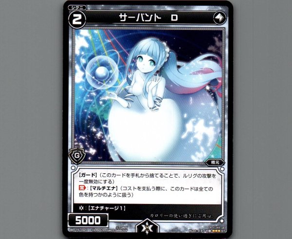 画像1: サーバント D (1)
