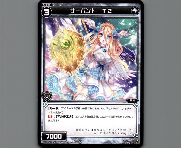 画像1: サーバント T2 (1)
