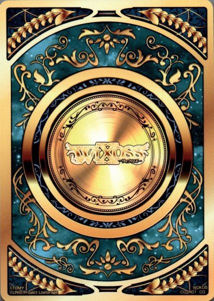 画像1: コインカード青 (1)