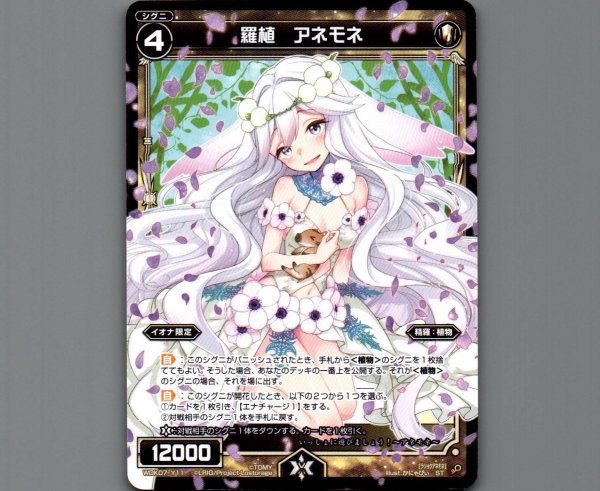 画像1: 羅植 アネモネ (1)
