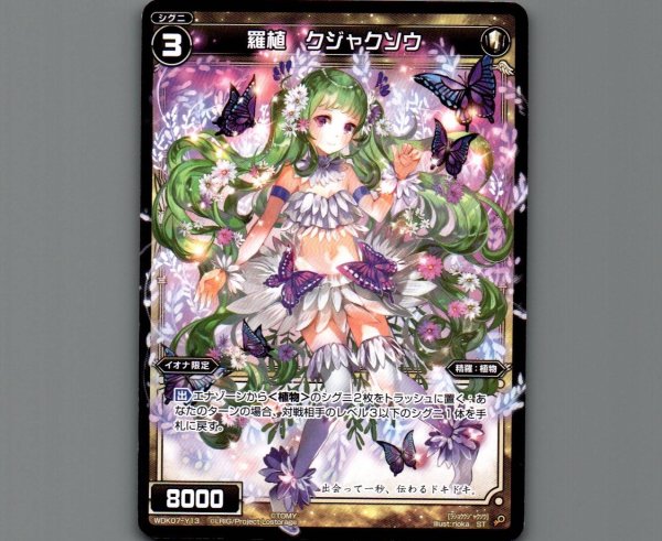 画像1: 羅植 クジャクソウ (1)