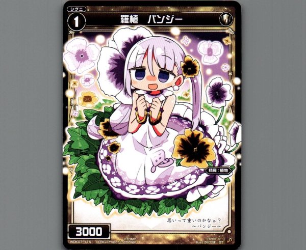 画像1: 羅植 パンジー (1)