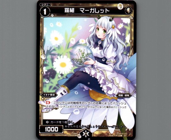 画像1: 羅植 マーガレット (1)