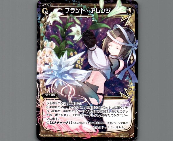 画像1: プラント・アレンジ (1)