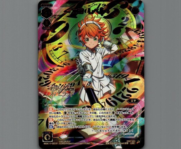 画像1: エマ レベル4(LRP) (1)