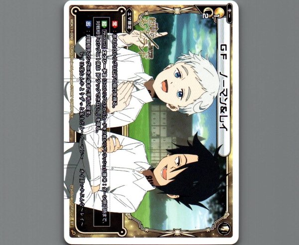 画像1: GF ノーマン&レイ (1)